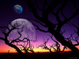 lune rose