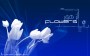 wallpapers1280x800_273
