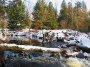 foret 10