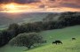 63493_poster2000
