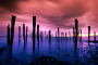 50410_poster2000