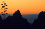 59302_poster2000