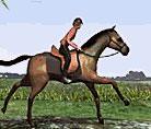 Game Horse Jumping - over 4000 free online games