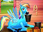 Rainbow Dash and the New Born Baby game